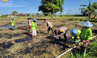 Wujud Nyata Dukung Ketahanan Pangan, Kanit Binmas Polsek Gapura Turun Tanam Jagung
